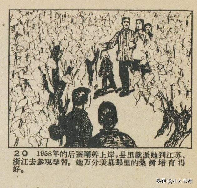 养蚕能手-选自《连环画报》1960年5月第九期